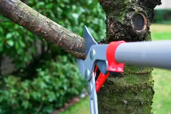 tree services Newtown